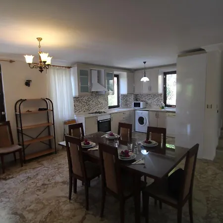 Taskonak 2 Villa * 费特希耶